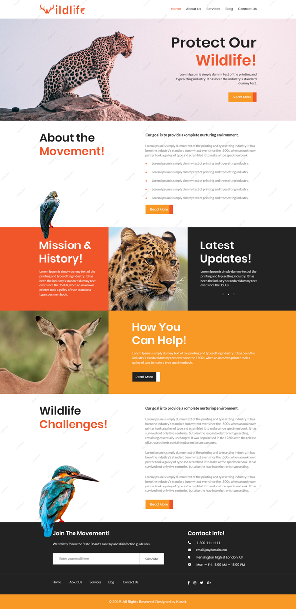 wildlife wildlife